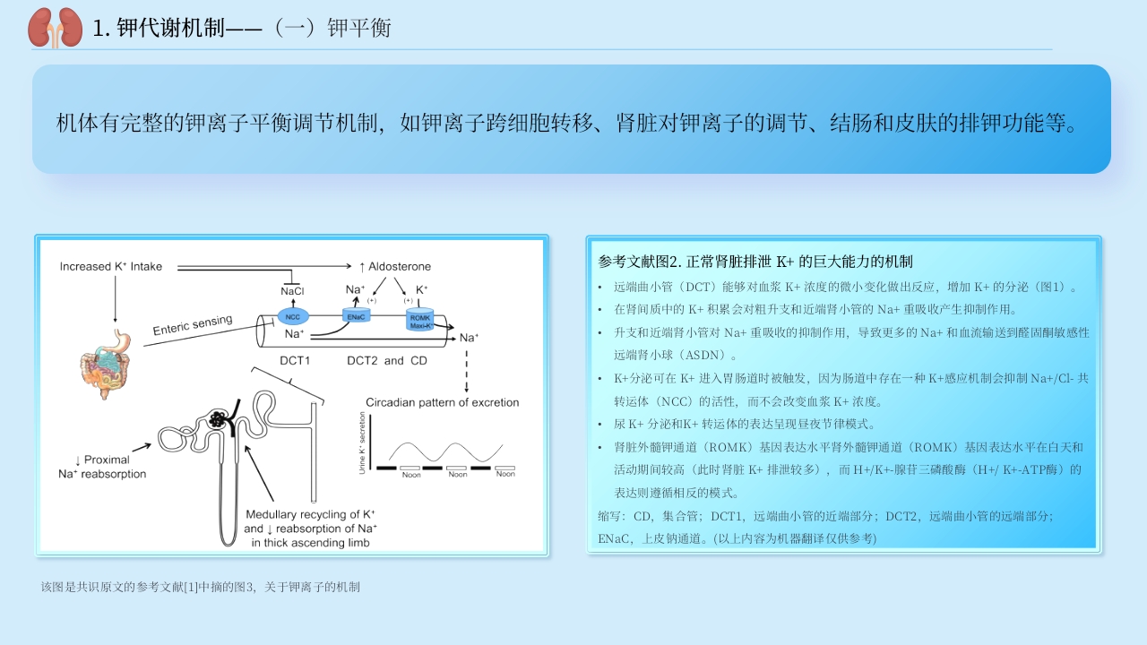 中国慢性肾脏病患者血钾管理实践专家共识