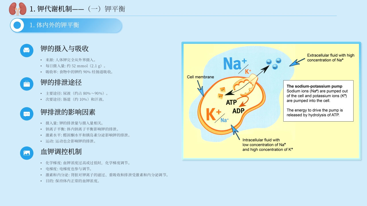 中国慢性肾脏病患者血钾管理实践专家共识