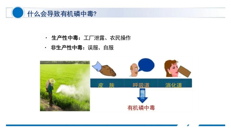 临床有机磷农药中毒个案护理查房