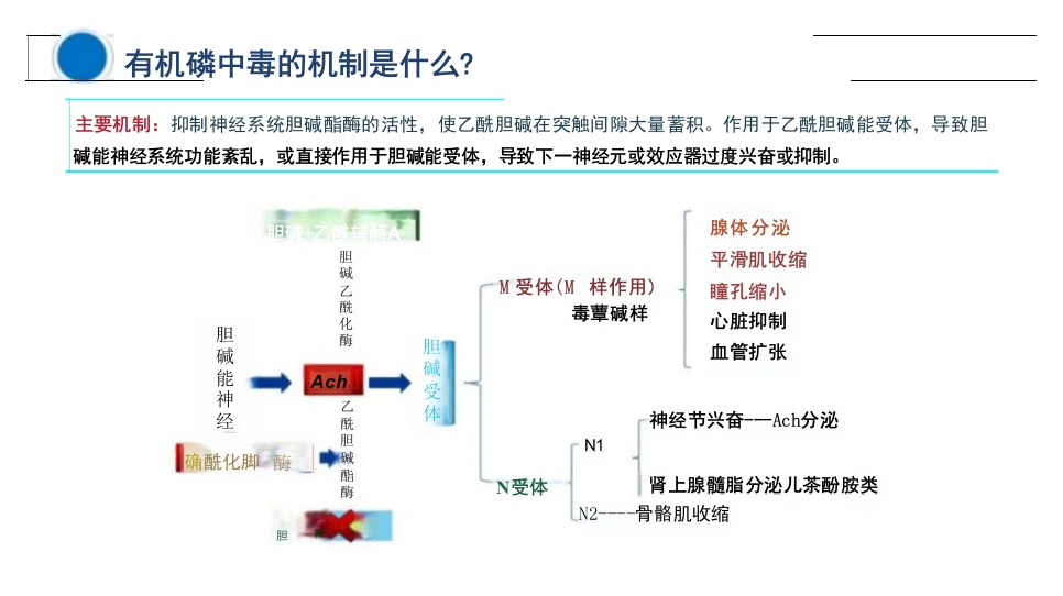 临床有机磷农药中毒个案护理查房