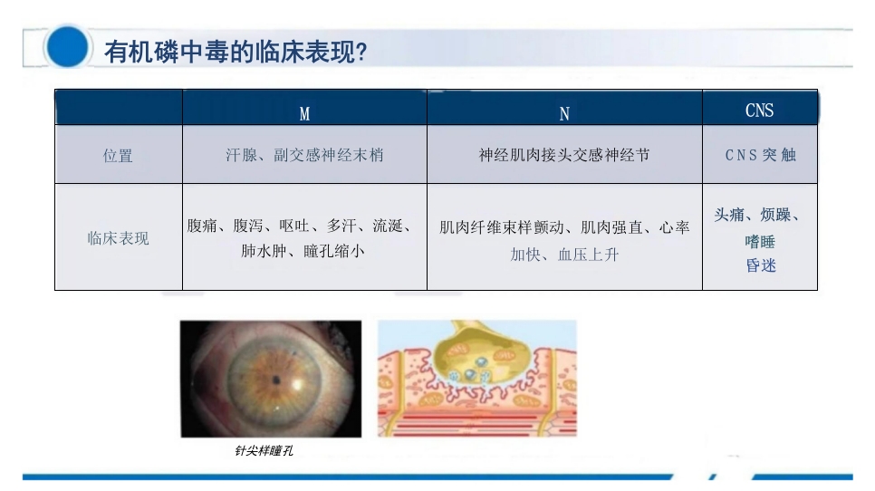 临床有机磷农药中毒个案护理查房