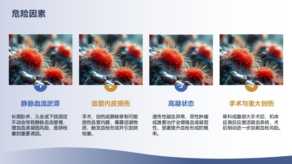 肺栓塞急救护理指南（2025版）解读