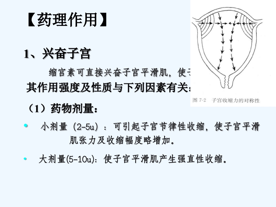 子宫兴奋药及松弛药(ppt)