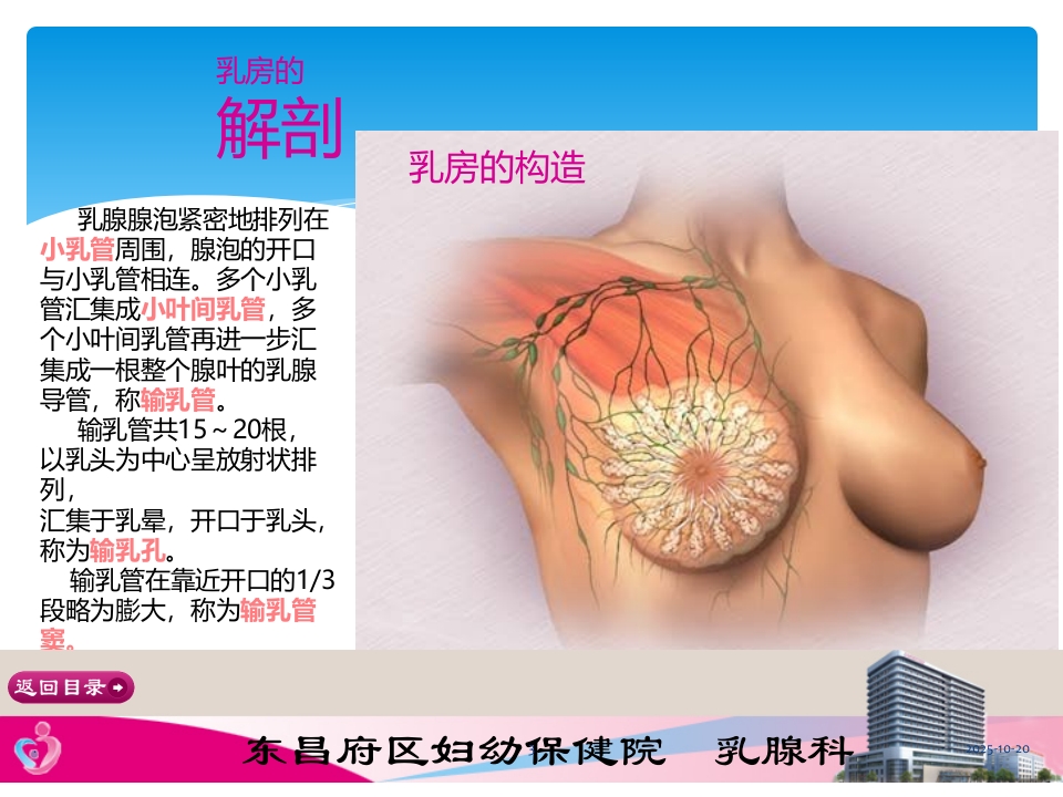 产后常见乳房疾病的预防PPT课件【22页】