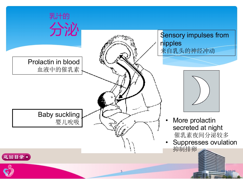 产后常见乳房疾病的预防PPT课件【22页】