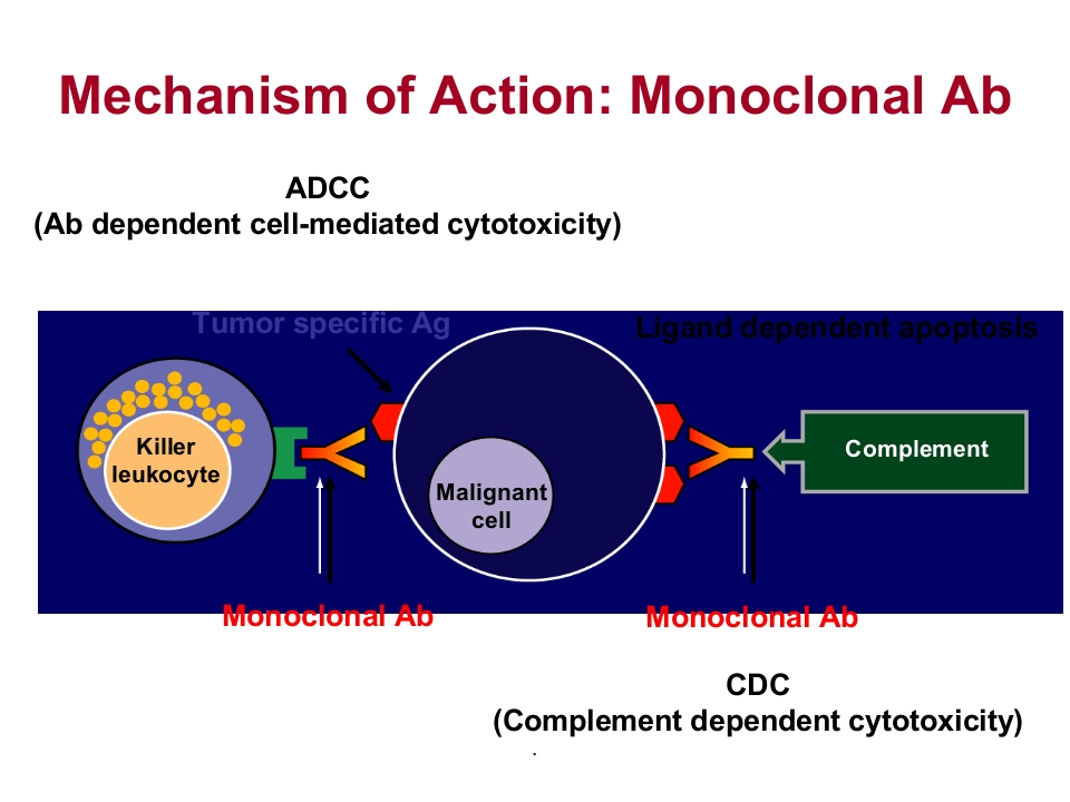 《抗体靶向治疗药物》
