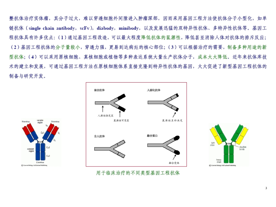《抗体靶向治疗药物》