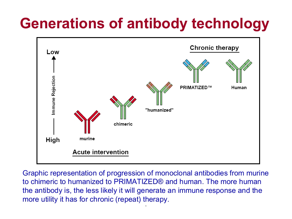 《抗体靶向治疗药物》