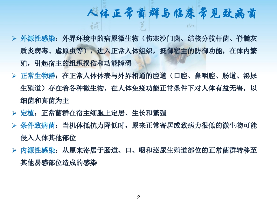 常见G菌及相关抗菌药物