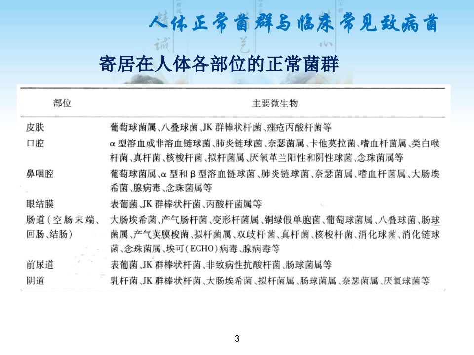 常见G菌及相关抗菌药物