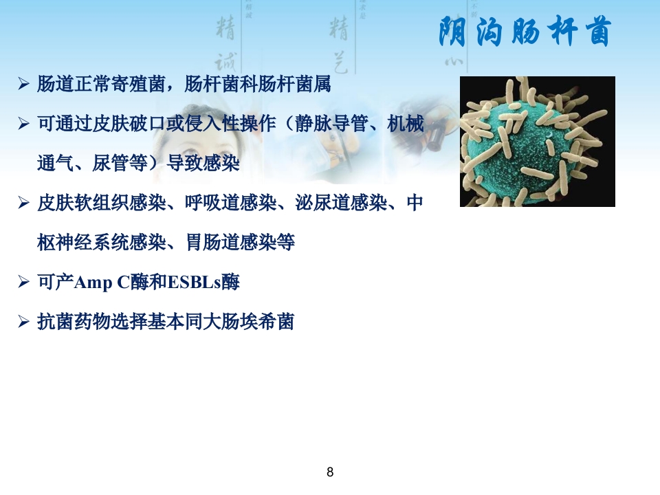 常见G菌及相关抗菌药物