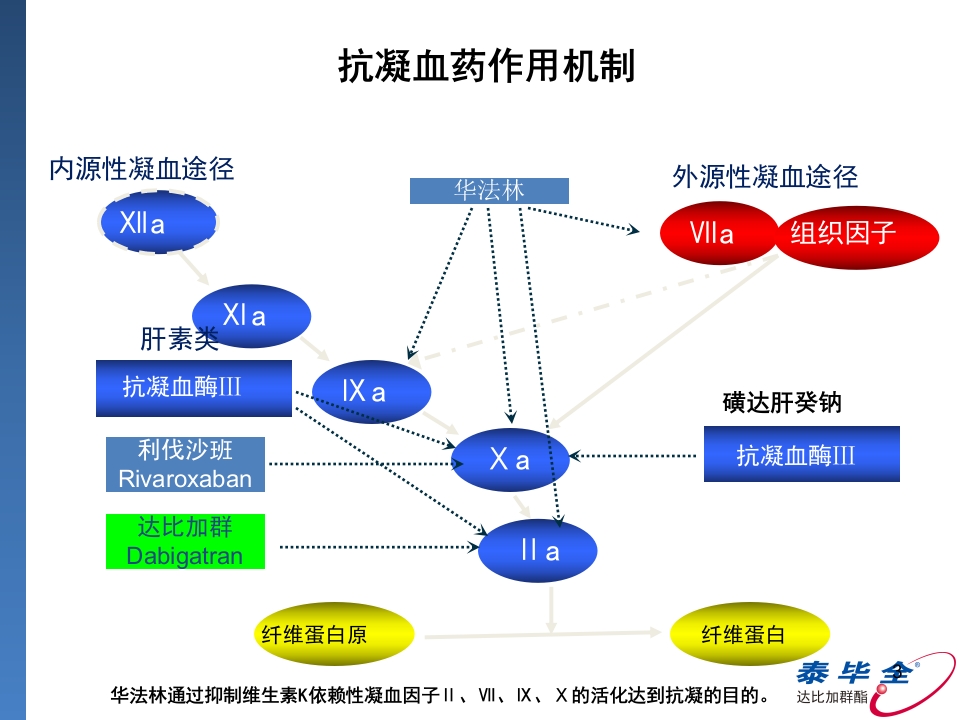 达比加群临床用药建议