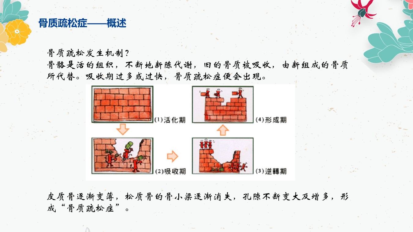 骨质疏松的药物治疗