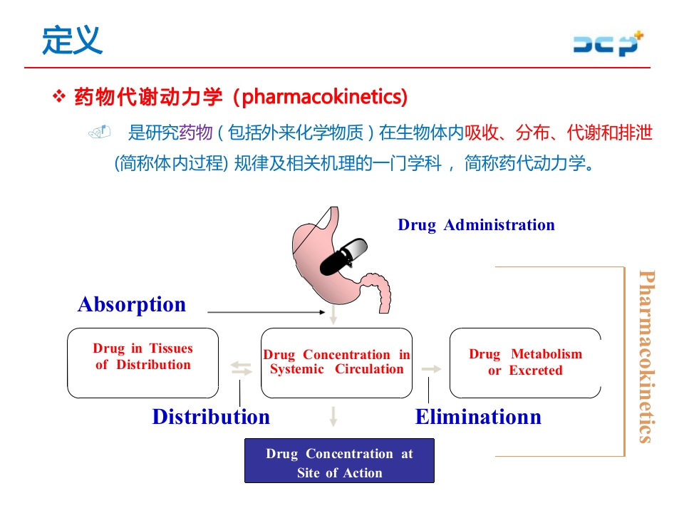临床药物代谢动力学