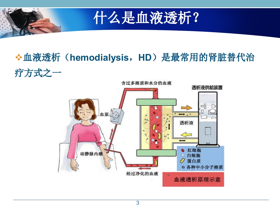浅析血液透析患者的常规用药幻灯片课件