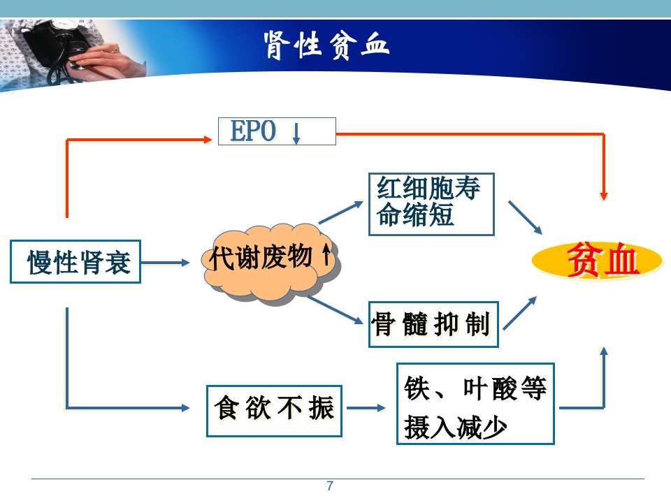 浅析血液透析患者的常规用药幻灯片课件