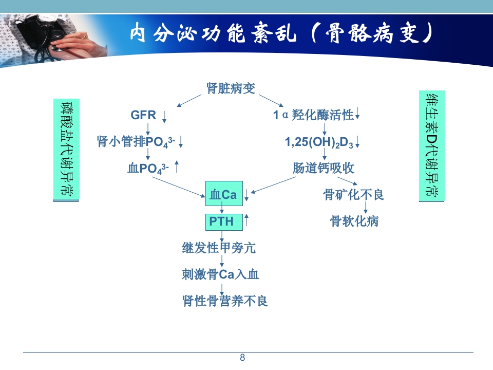 浅析血液透析患者的常规用药幻灯片课件