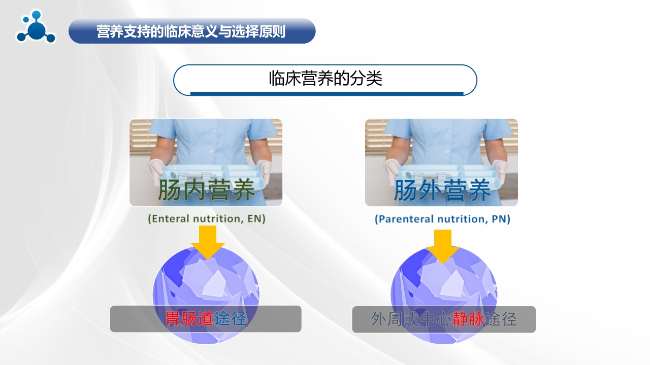 水解蛋白口服溶液