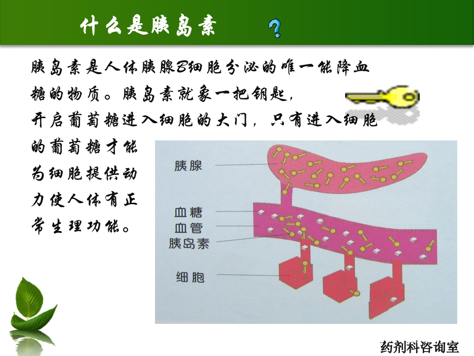 糖尿病及药学服务