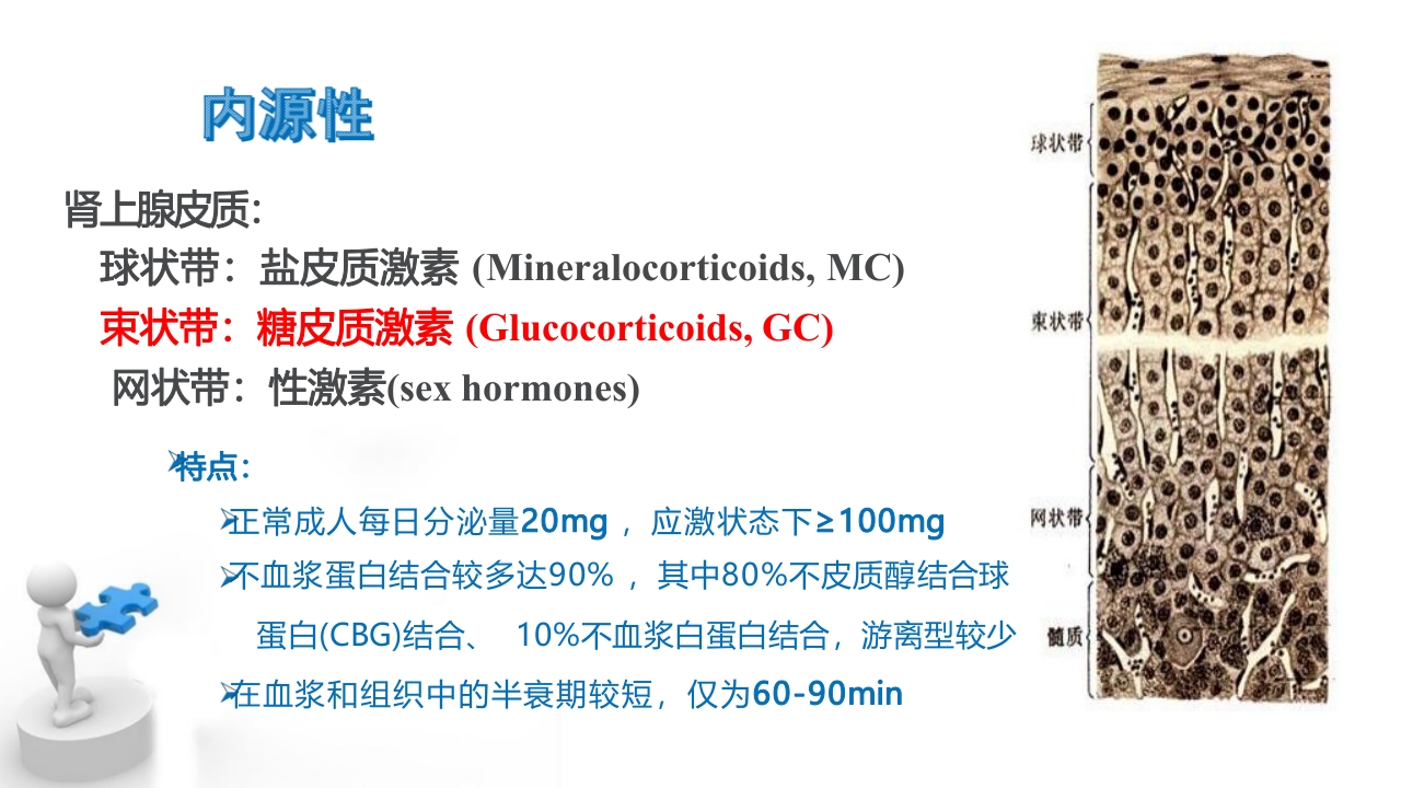 糖皮质激素临床应用基础