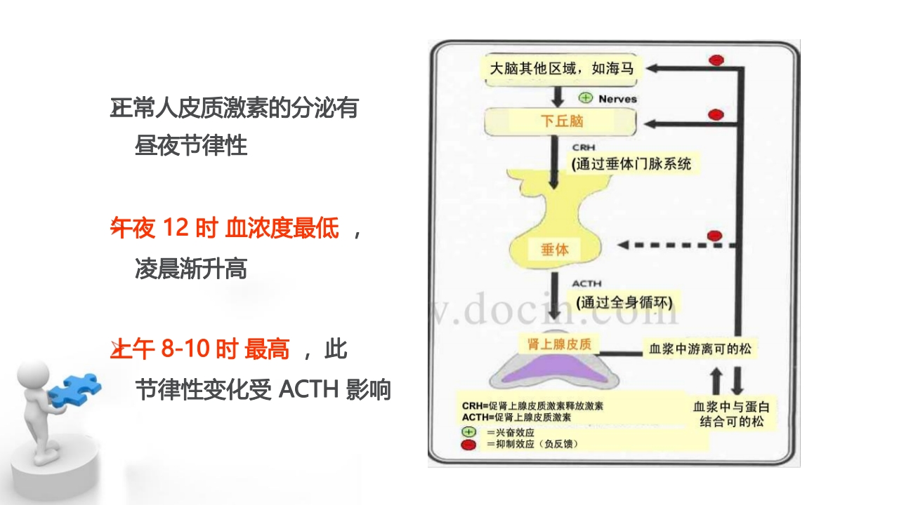 糖皮质激素临床应用基础