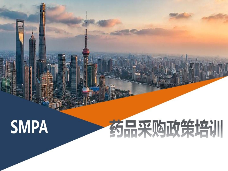 药品采购政策培训共页PPT