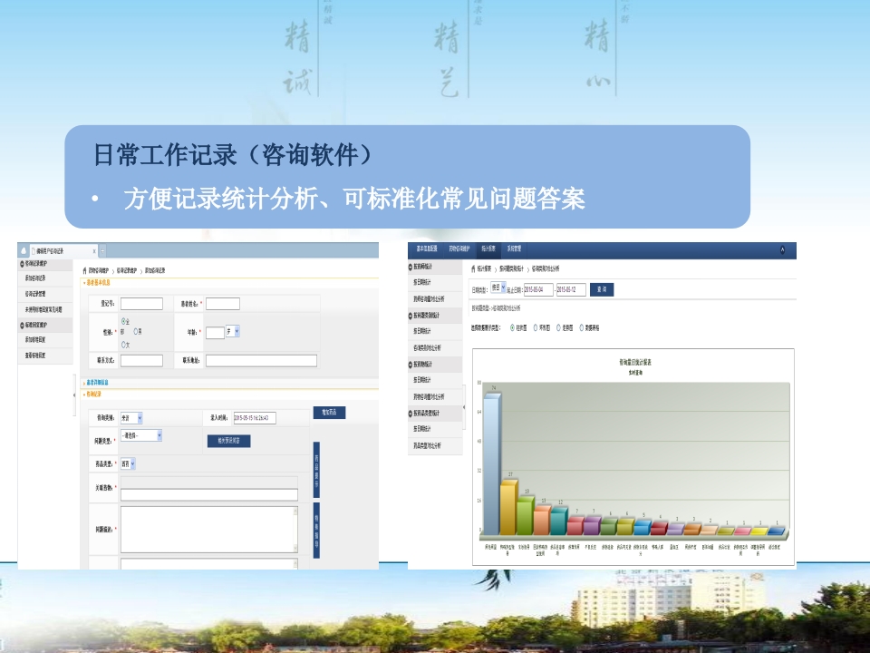 药物咨询与药物治疗理