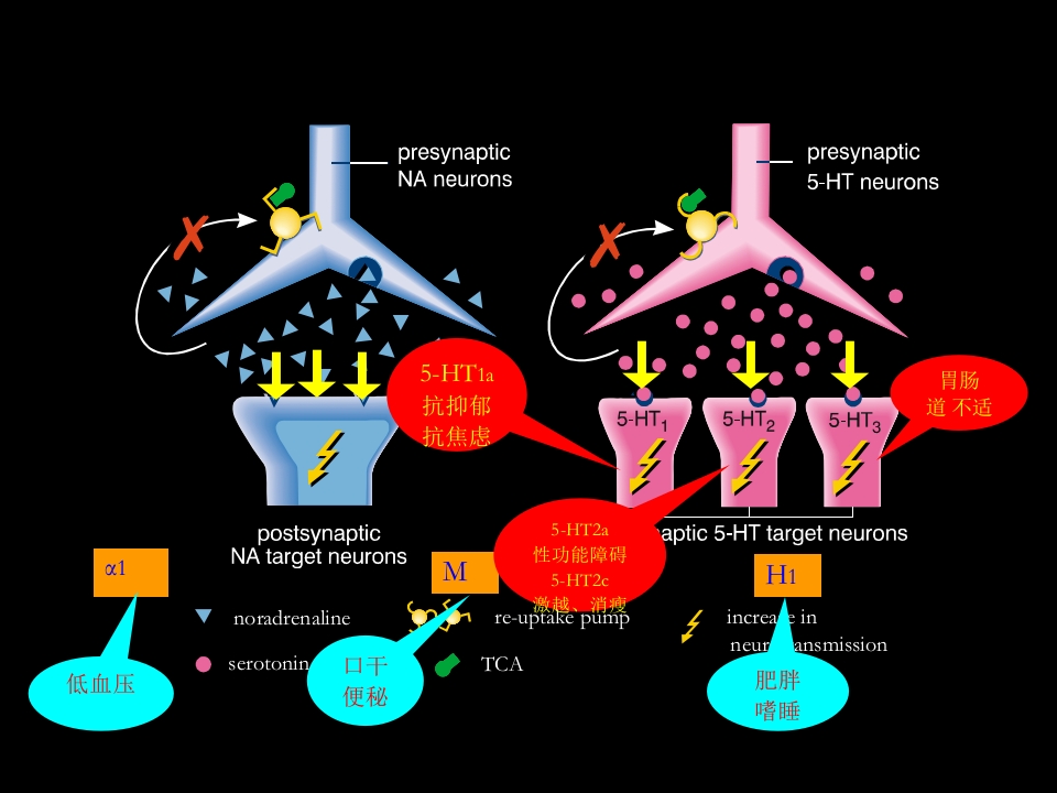 抗焦虑抑郁药物