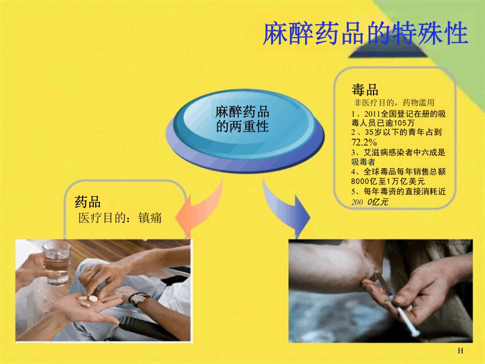 麻醉药品管理培训课件(共46张PPT)