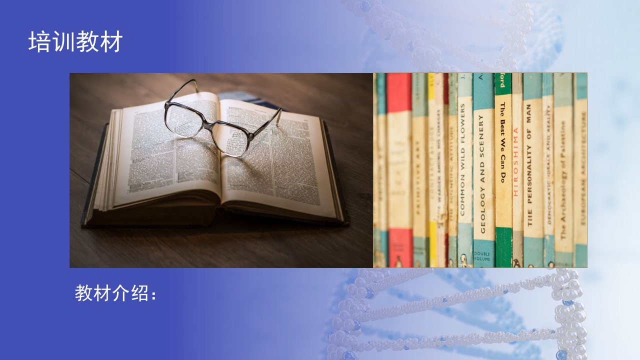 护士进修汇报26