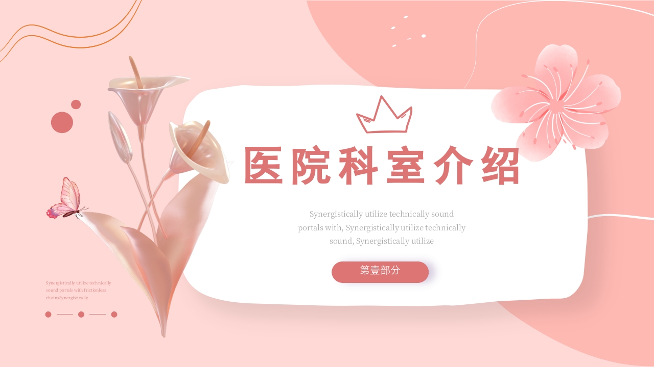 护士进修汇报28