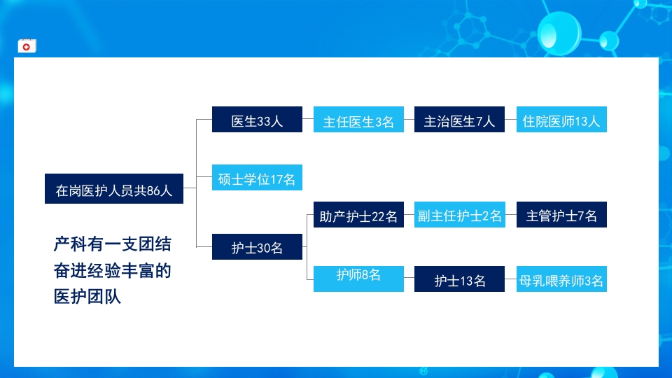 护士进修汇报29