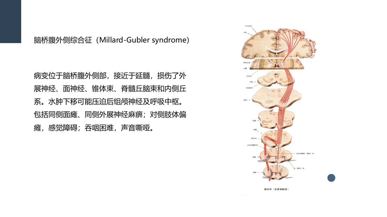 一例桥脑出血的护理个案分享