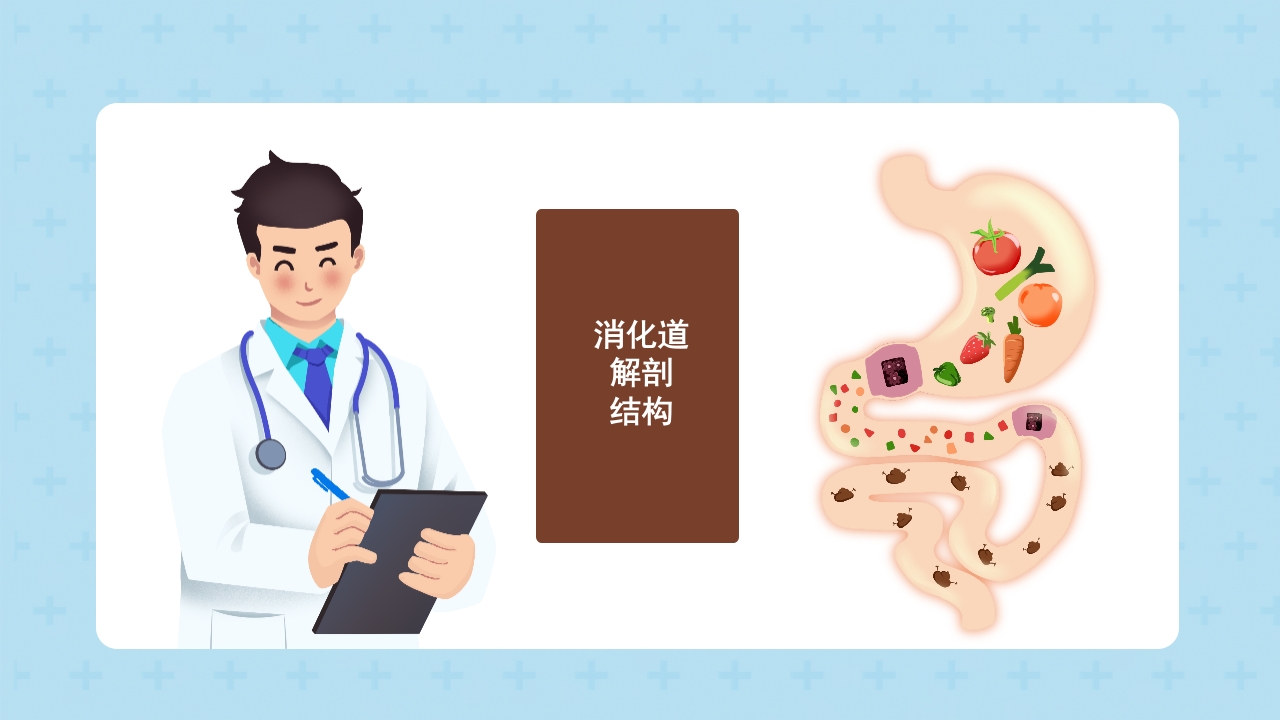 便秘护理临床治疗及护理