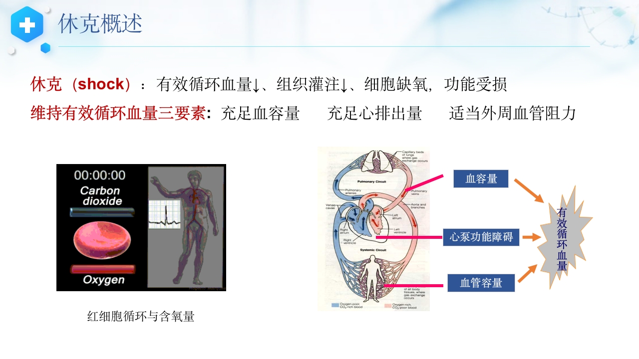 过敏性休克抢救护理流程及护理常规