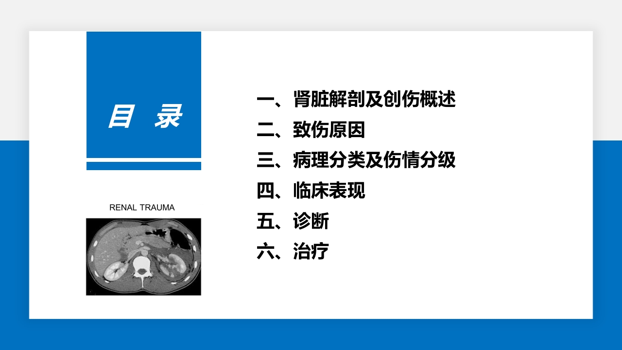 肾脏损伤的诊治(肾创伤)