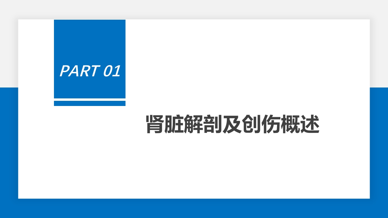 肾脏损伤的诊治(肾创伤)