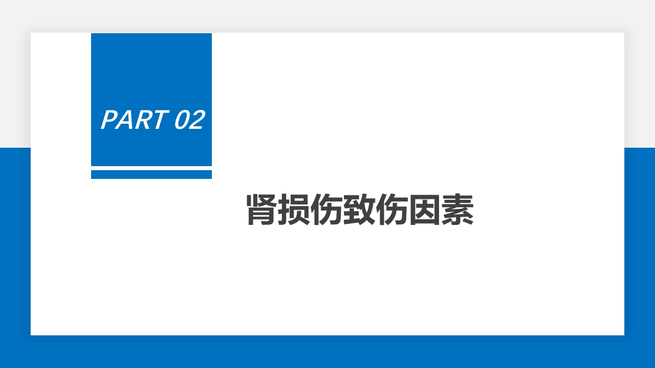 肾脏损伤的诊治(肾创伤)