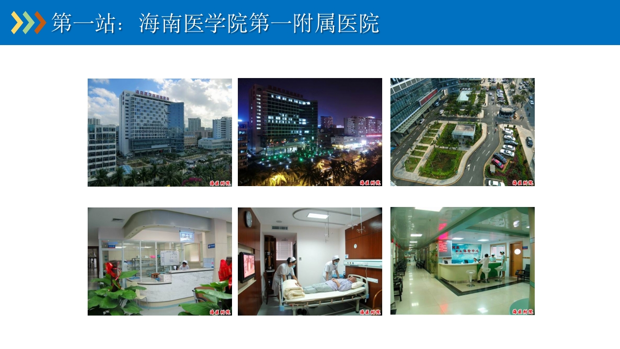 重症专科护士学习汇报