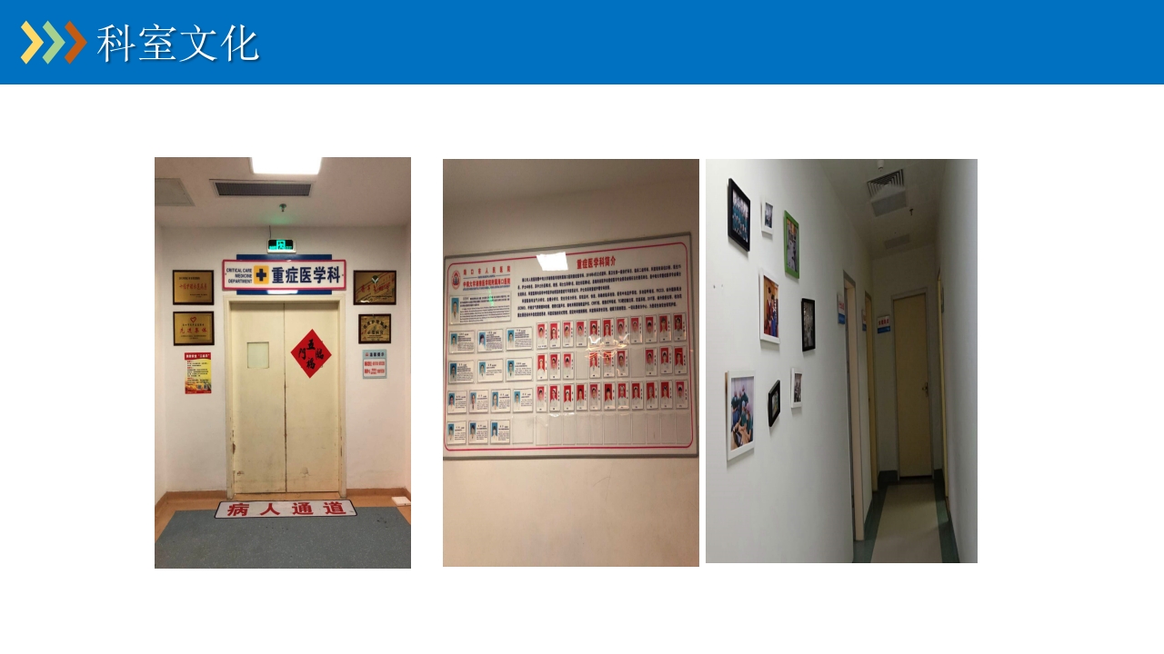 重症专科护士学习汇报