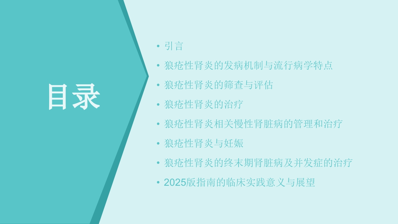 中国狼疮性肾炎诊治和管理指南解读PPT课件