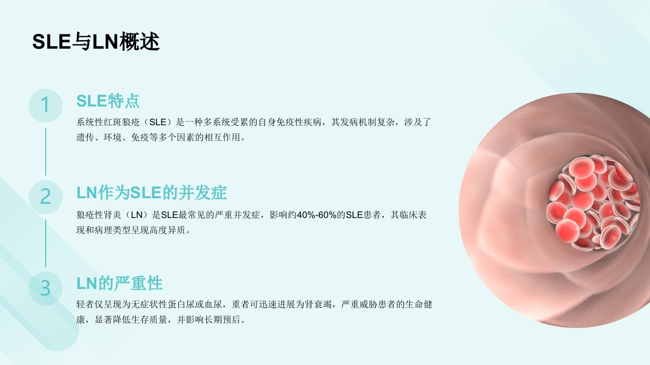 中国狼疮性肾炎诊治和管理指南解读PPT课件