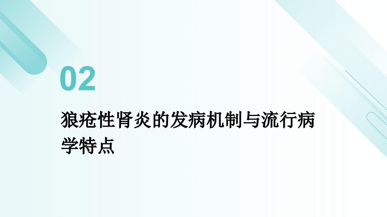 中国狼疮性肾炎诊治和管理指南解读PPT课件