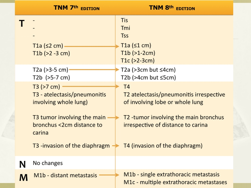 肺癌TNM的分期(第8版)【53页】