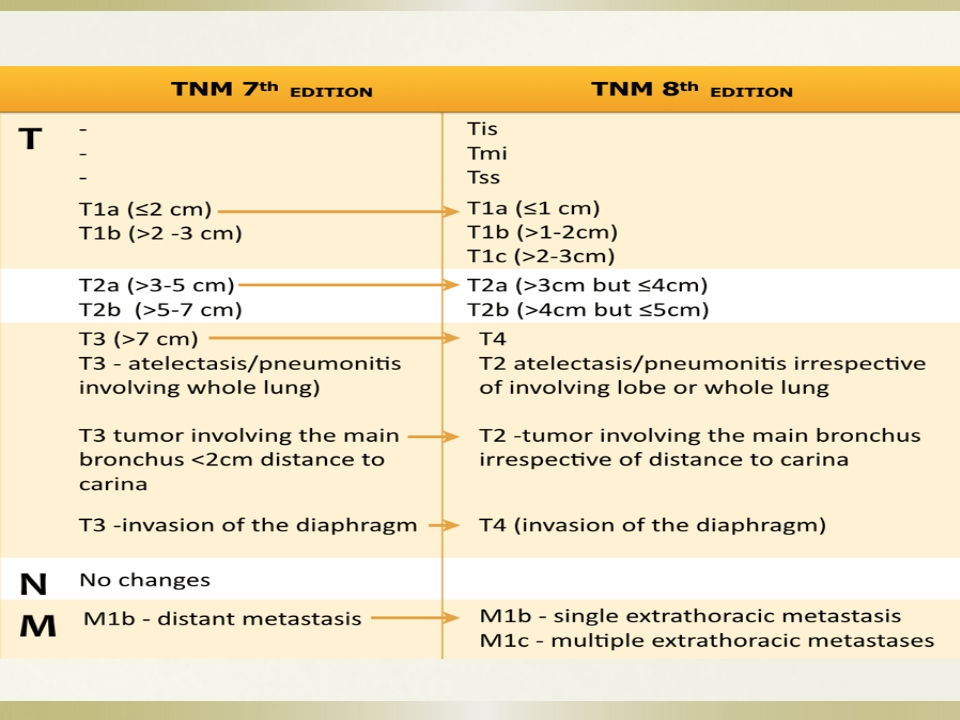 肺癌TNM的分期(第8版)【53页】